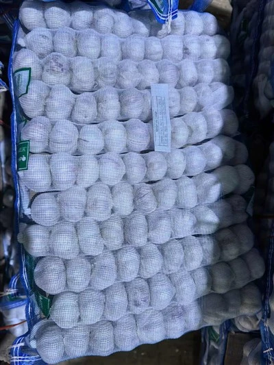 Supakuotas purpurinis česnakas